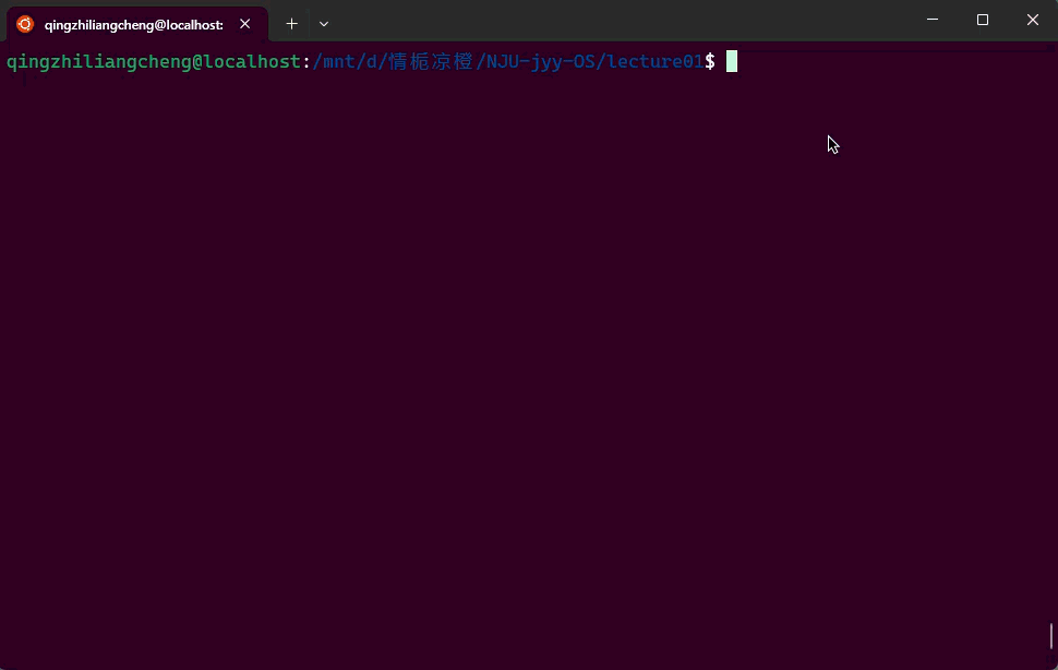 nju-jyy-os-gif-lecture01-1.gif|500